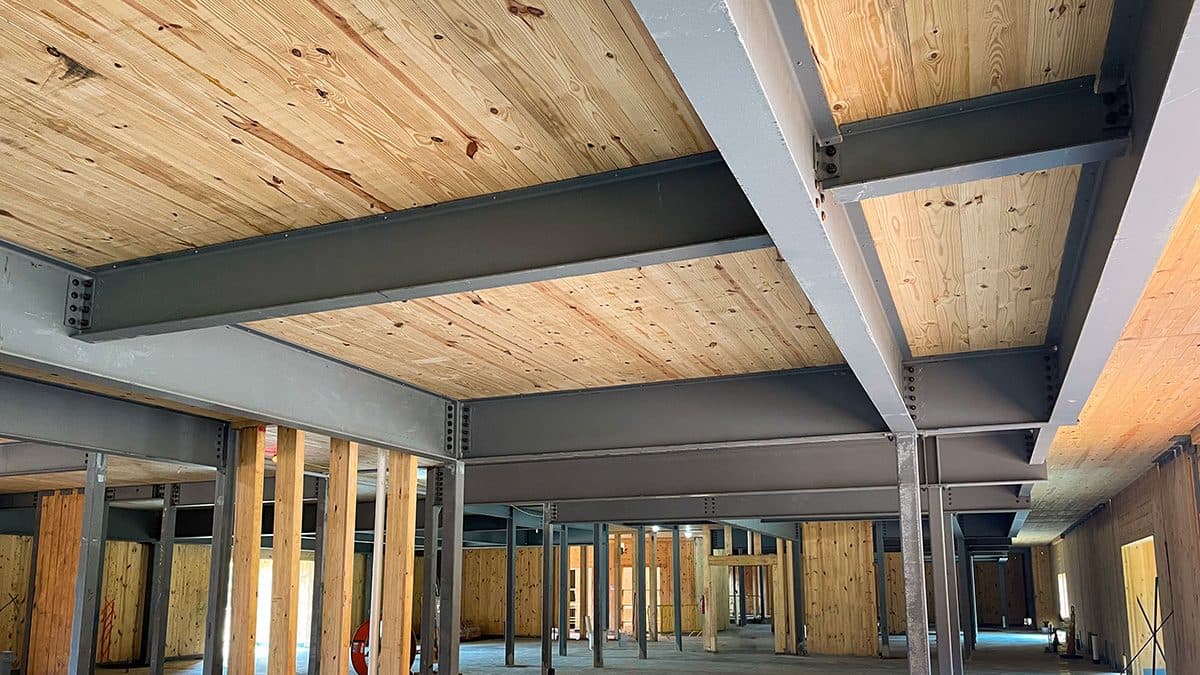 Clean timber interior ceiling